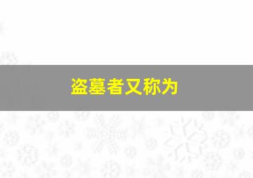 盗墓者又称为