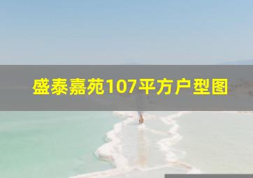 盛泰嘉苑107平方户型图