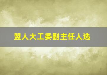 盟人大工委副主任人选