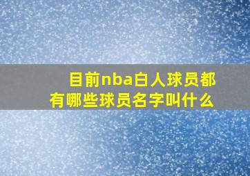 目前nba白人球员都有哪些球员名字叫什么