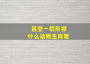 目空一切形容什么动物生肖呢