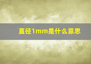 直径1mm是什么意思