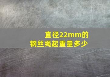 直径22mm的钢丝绳起重量多少