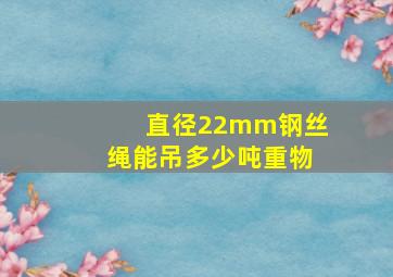 直径22mm钢丝绳能吊多少吨重物