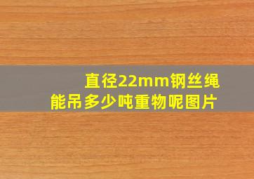 直径22mm钢丝绳能吊多少吨重物呢图片