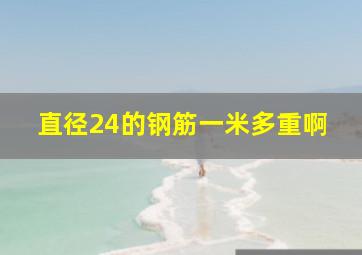 直径24的钢筋一米多重啊