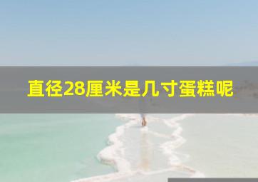 直径28厘米是几寸蛋糕呢