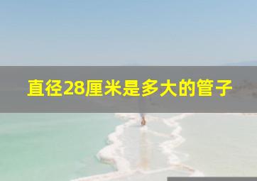 直径28厘米是多大的管子