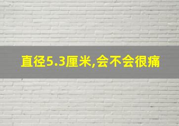 直径5.3厘米,会不会很痛