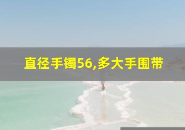 直径手镯56,多大手围带