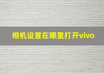 相机设置在哪里打开vivo