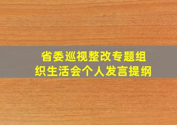 省委巡视整改专题组织生活会个人发言提纲