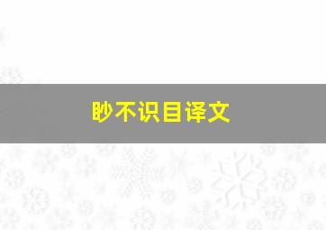 眇不识目译文