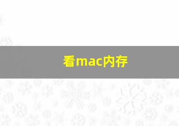 看mac内存