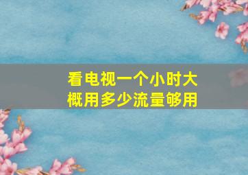 看电视一个小时大概用多少流量够用