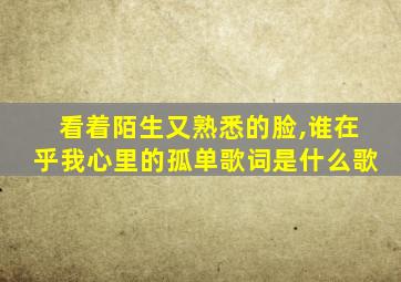 看着陌生又熟悉的脸,谁在乎我心里的孤单歌词是什么歌