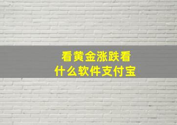 看黄金涨跌看什么软件支付宝