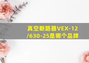 真空断路器VEX-12/630-25是哪个品牌