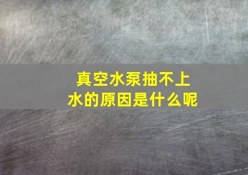 真空水泵抽不上水的原因是什么呢