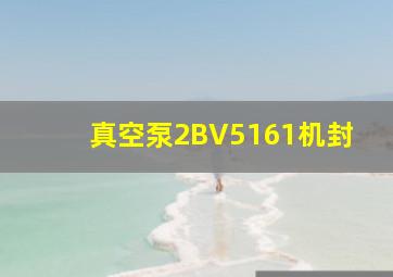 真空泵2BV5161机封