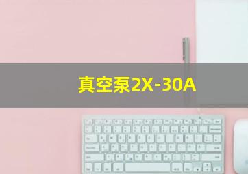 真空泵2X-30A