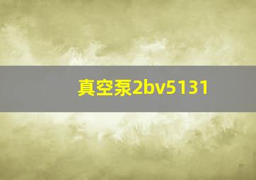 真空泵2bv5131