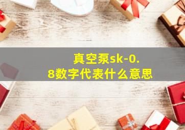 真空泵sk-0.8数字代表什么意思