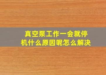 真空泵工作一会就停机什么原因呢怎么解决