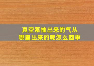 真空泵抽出来的气从哪里出来的呢怎么回事