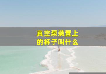 真空泵装置上的杯子叫什么