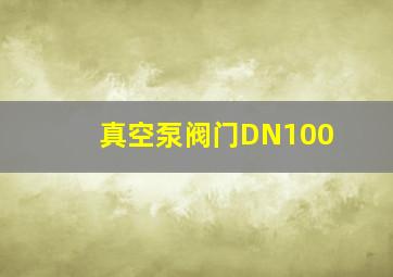 真空泵阀门DN100