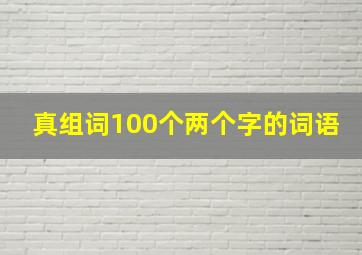 真组词100个两个字的词语