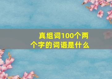 真组词100个两个字的词语是什么