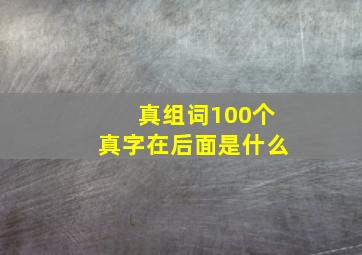 真组词100个真字在后面是什么