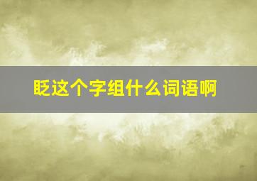 眨这个字组什么词语啊