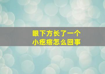 眼下方长了一个小疙瘩怎么回事