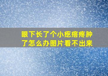 眼下长了个小疙瘩疼肿了怎么办图片看不出来