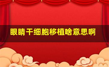 眼睛干细胞移植啥意思啊