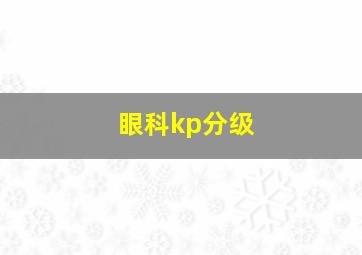 眼科kp分级