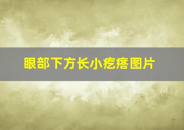 眼部下方长小疙瘩图片