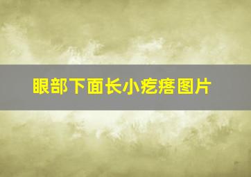 眼部下面长小疙瘩图片