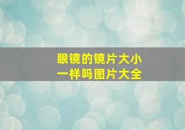 眼镜的镜片大小一样吗图片大全