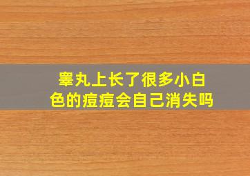 睾丸上长了很多小白色的痘痘会自己消失吗