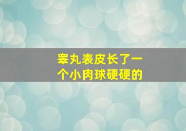 睾丸表皮长了一个小肉球硬硬的