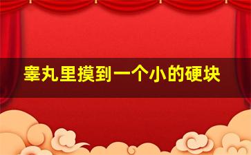 睾丸里摸到一个小的硬块