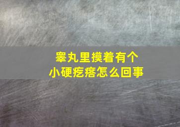 睾丸里摸着有个小硬疙瘩怎么回事