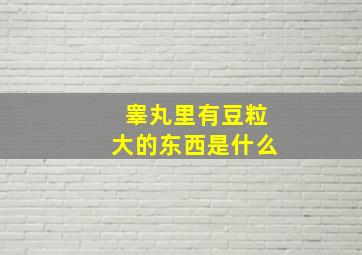 睾丸里有豆粒大的东西是什么