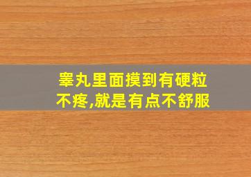 睾丸里面摸到有硬粒不疼,就是有点不舒服