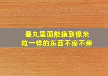 睾丸里面能摸到像米粒一样的东西不疼不痒