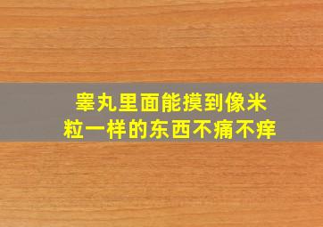 睾丸里面能摸到像米粒一样的东西不痛不痒